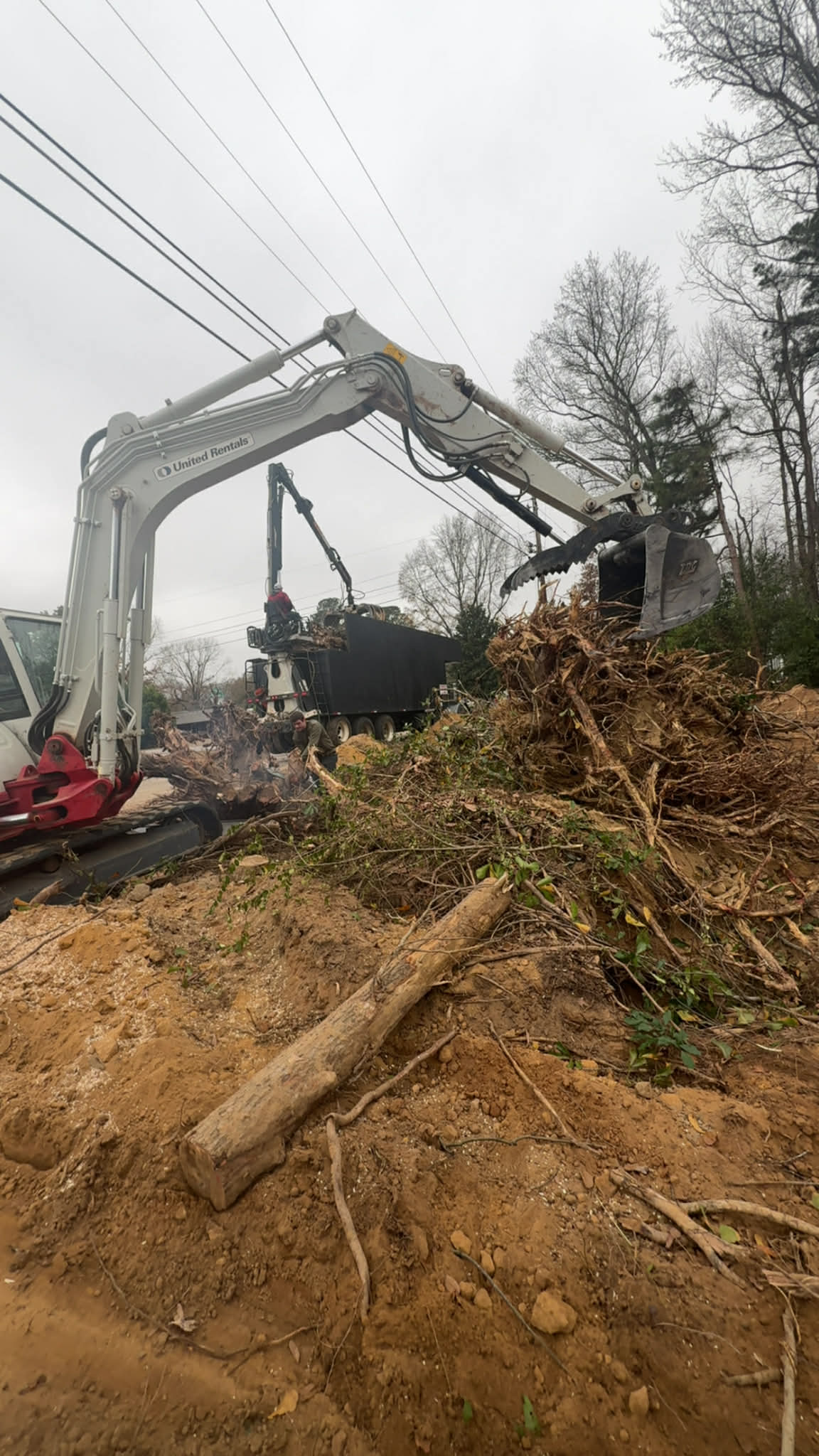 Overgrowth Brush Removal