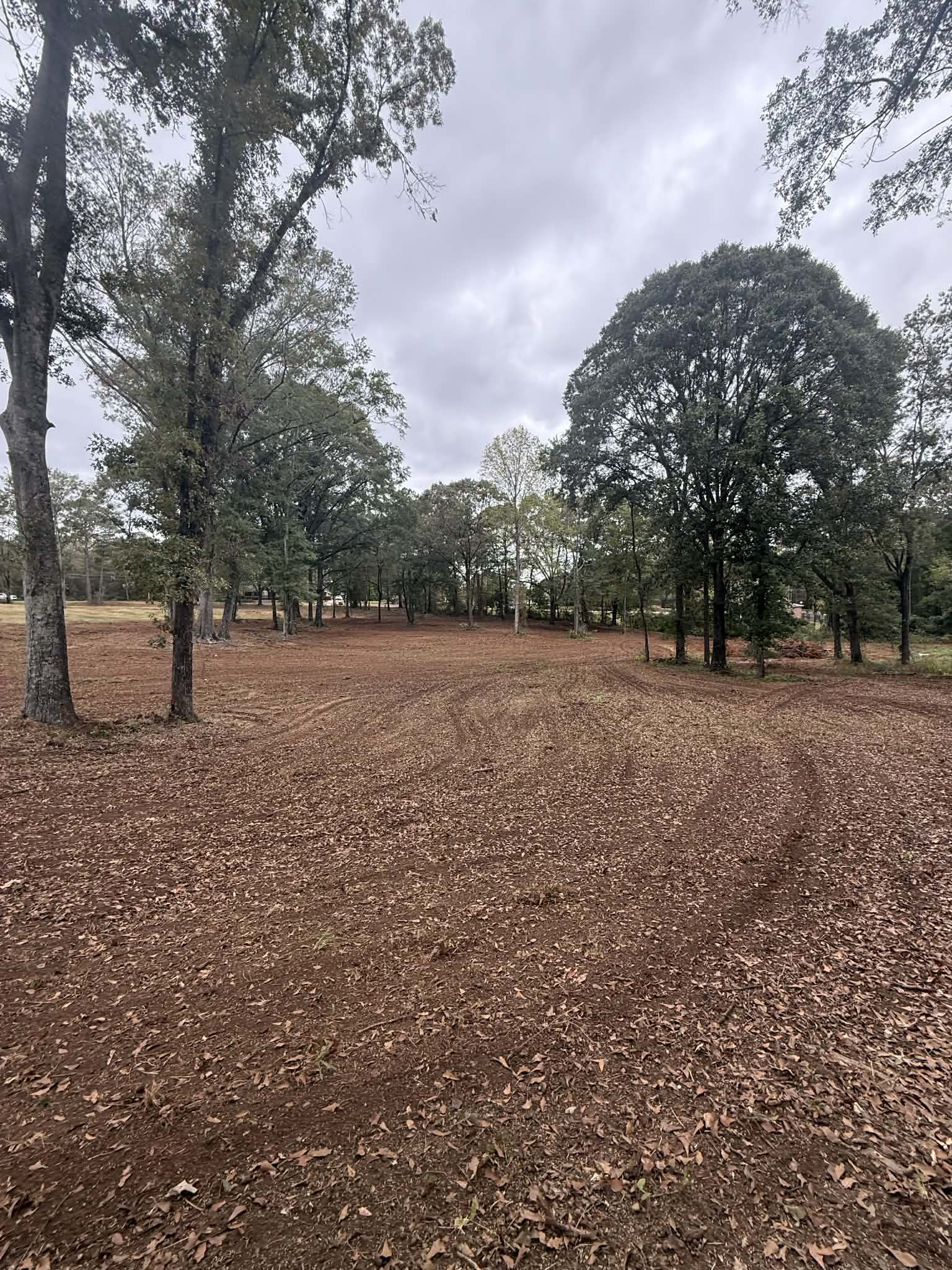 Full Land Transformation