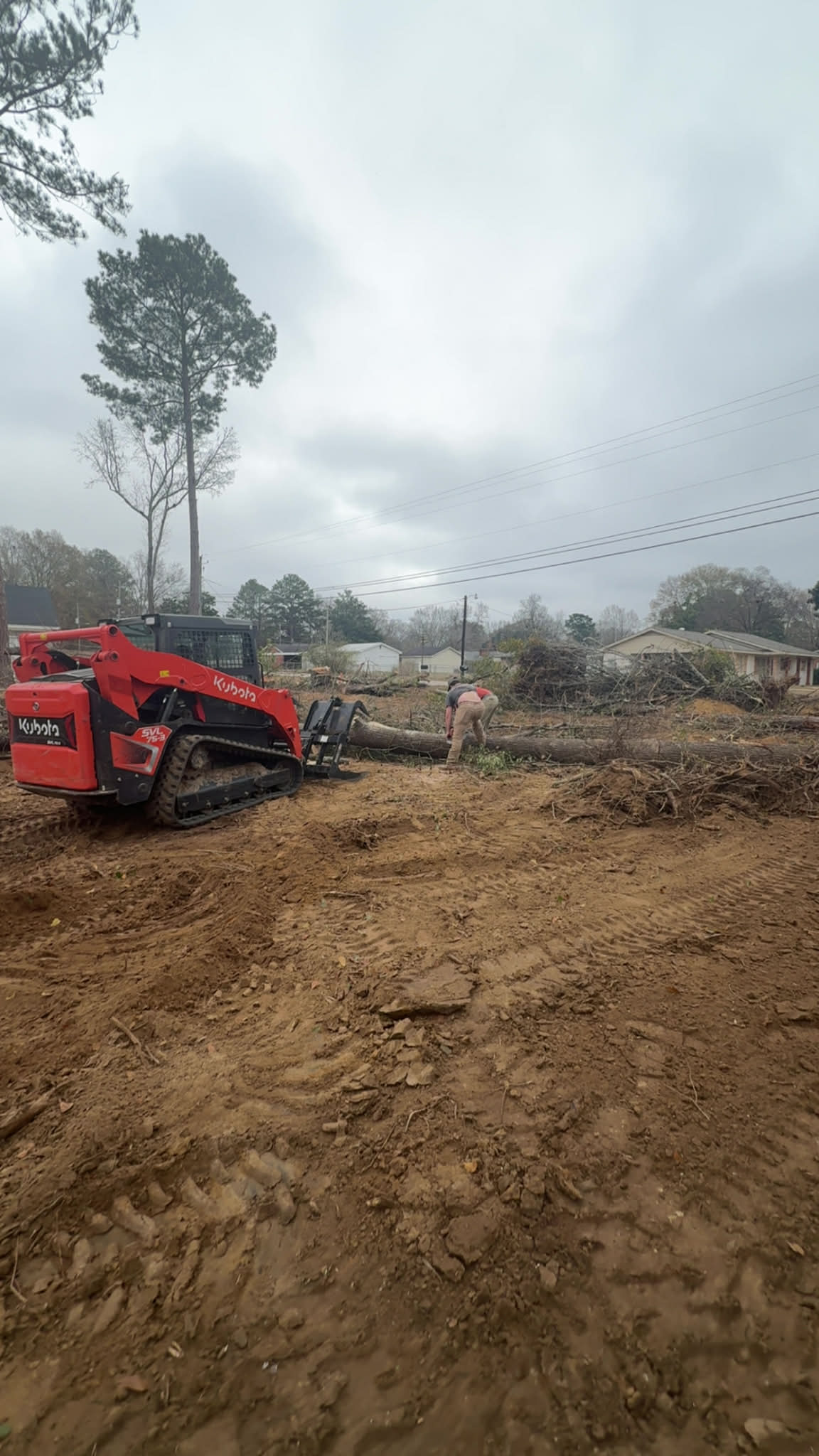 Selective Tree Removal